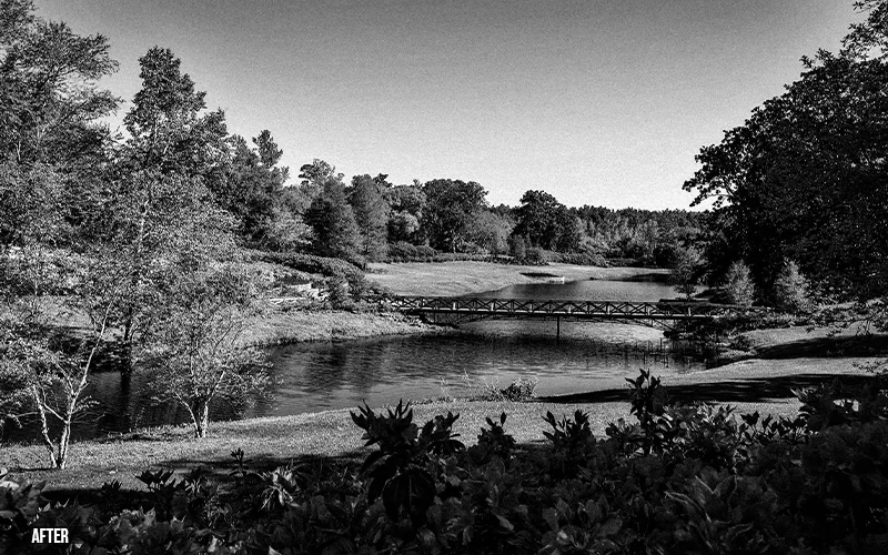 Dark Black And White Lightroom Presets