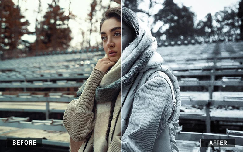 Black And White Fashion Presets