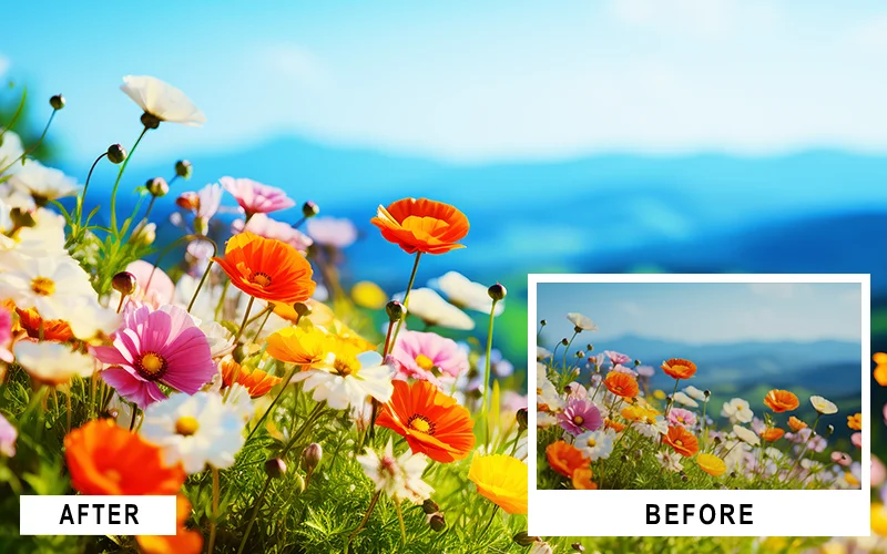 Blooming Landscape Photoshop Actions