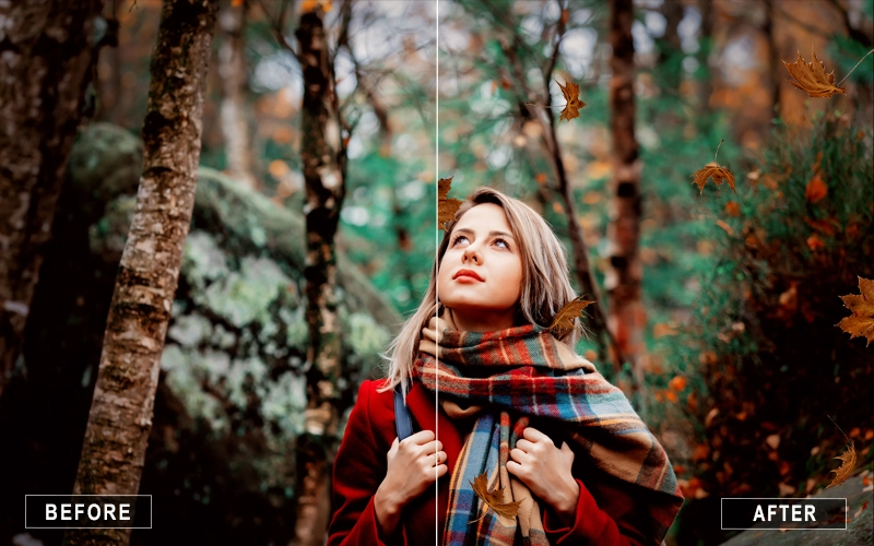 brown leaf overlays, overlay leaves effect, leafy texture overlay, forest leaf overlays