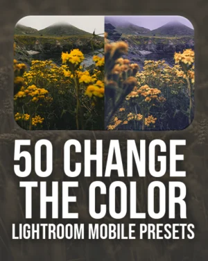 Mobile LR presets