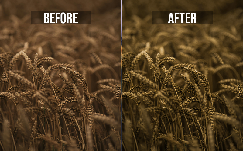 Moody Brown Preset Lightroom Mobile