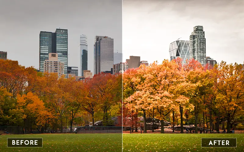 elevate your images with one-click effects