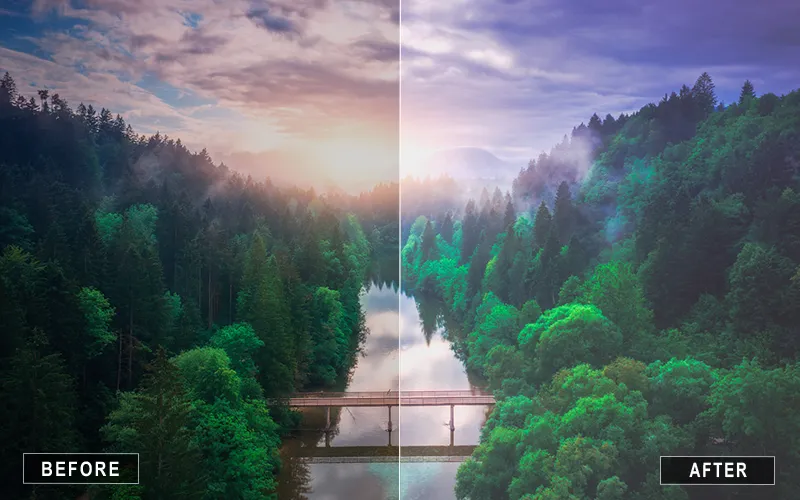 Cool Nature Preset LUTs, nature presets