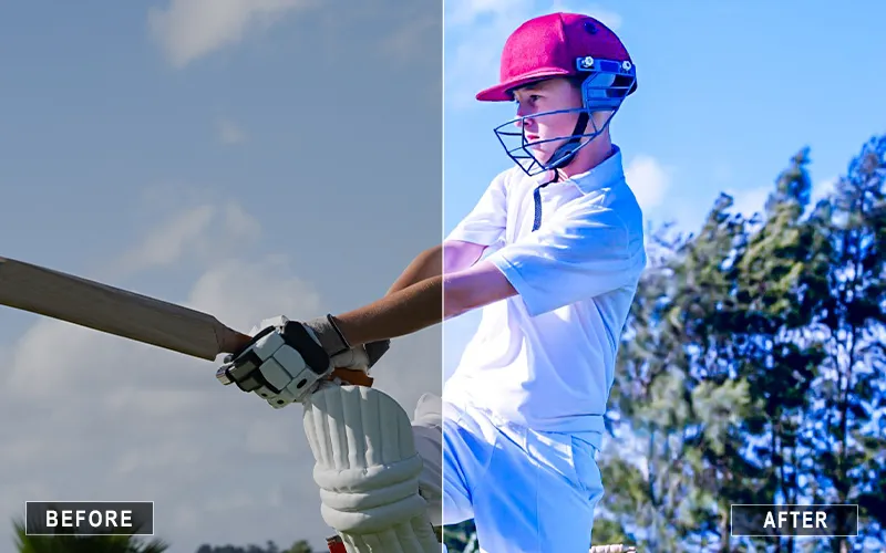 Cricket Lr Mobile Presets, cricket presets or mobile editing