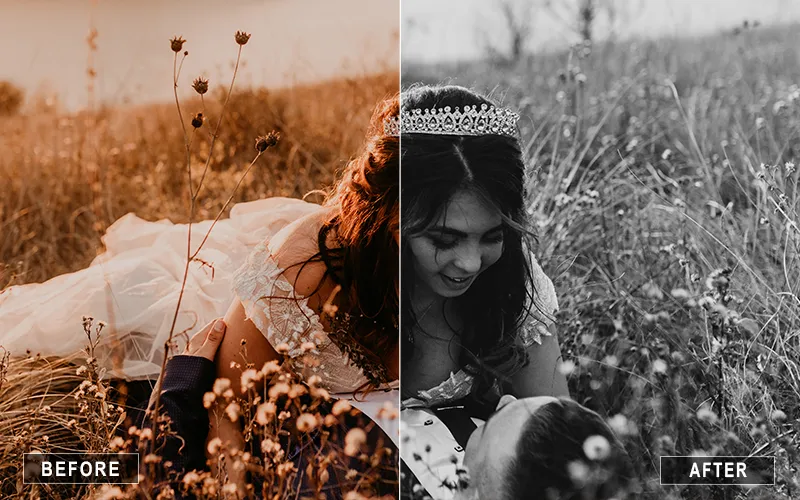 Winter Fairytale Photoshop Actions, Dark Fairytale Photoshop Actions