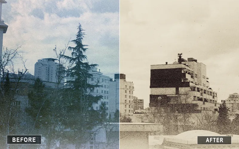 moody black and white luts, dramatic black and white luts