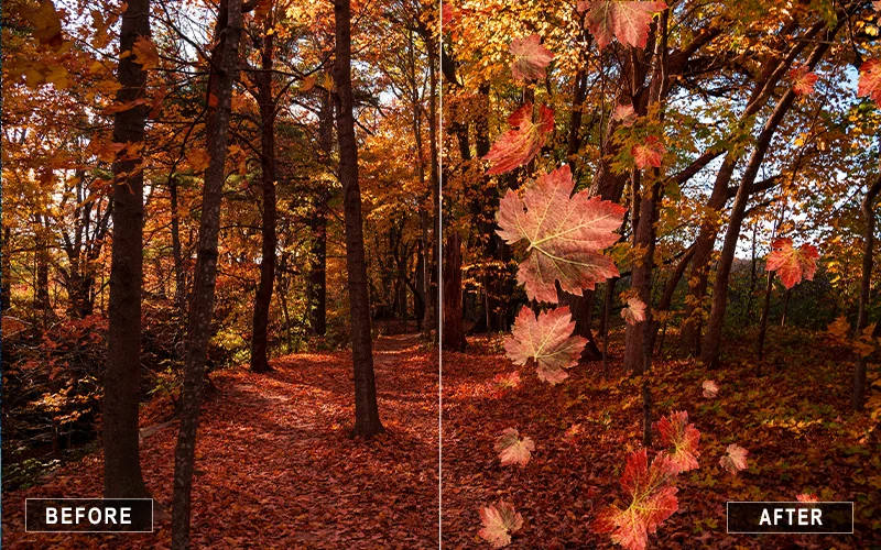 falling red leaves overlays, falling yellow leaves overlays, falling blue leaves overlays, falling green leaves overlays, falling orange leaves overlays, falling pink leaves overlays