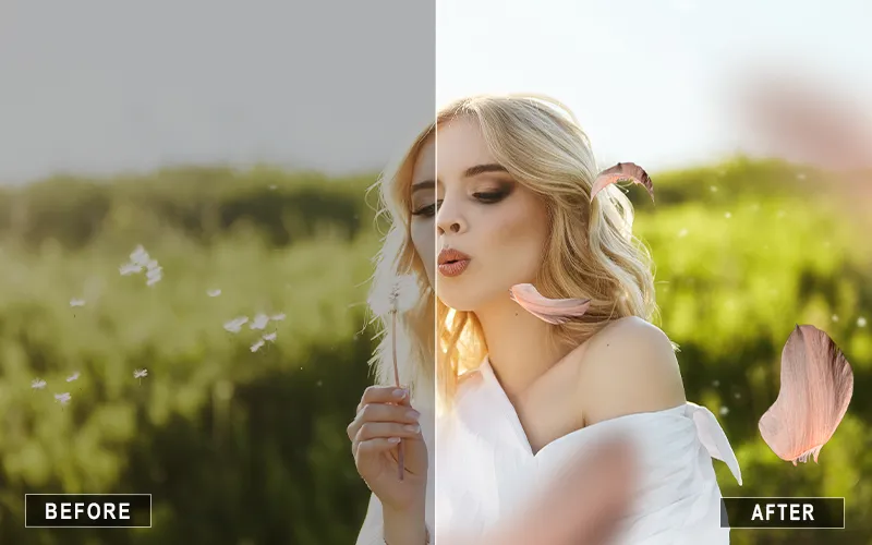 Falling petal overlays, petal overlays for beautiful edits