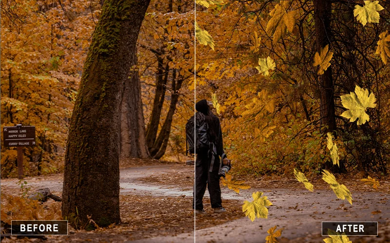 falling red leaves overlays, falling yellow leaves overlays, falling blue leaves overlays, falling green leaves overlays, falling orange leaves overlays, falling pink leaves overlays
