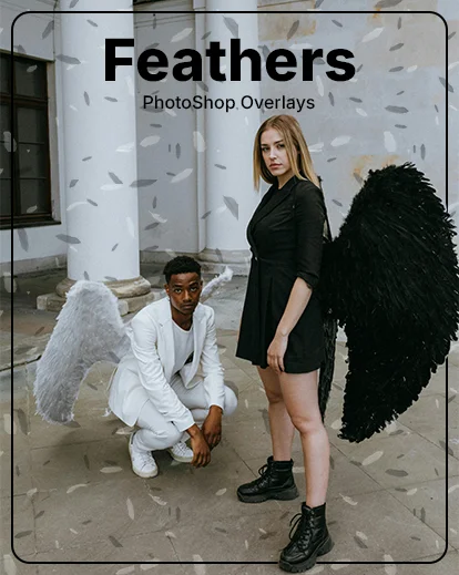 feathers overlay, falling feathers overlay, soft feather overlays, light feather overlays, airy feather overlays, best photoshop resources