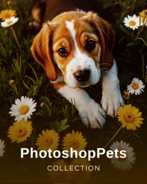 Photoshop Actions Pets, Puppy photo Photoshop actions, Dog photo actions Photoshop, Dog portrait Photoshop actions, Cat portrait photo actions, Pet soft light PS Actions, Pet photo vintage actions, Dramatic pet effects Photoshop, best photography add ons, best photoshop resources
