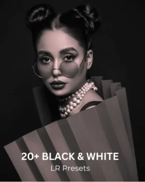 lightroom bundle, LR Presets Black and White