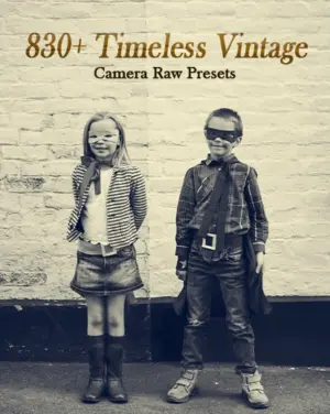 camera raw vintage presets