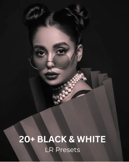 lightroom bundle, LR Presets Black and White