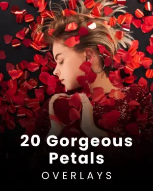 Gorgeous Petal Overlays, Petal Overlays for images, Premium photography addons