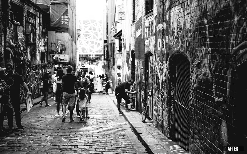 Black and White Retro Film Presets