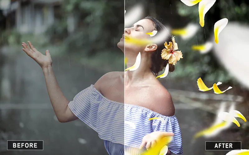 Flying petal overlays, yellow petal overlays, flower overlays for beauty