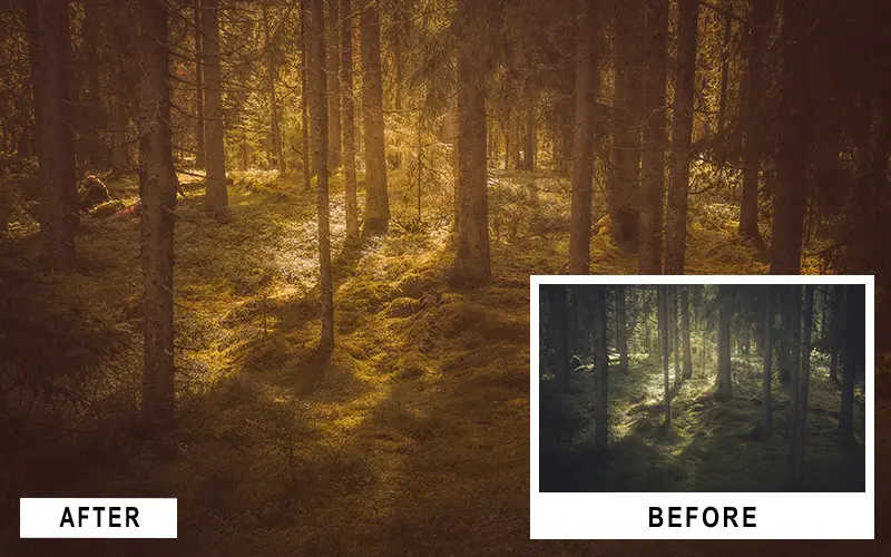 create stunning images, Forest Landscape Lightroom Presets, best landscape lightroom presets, forest presets lightroom