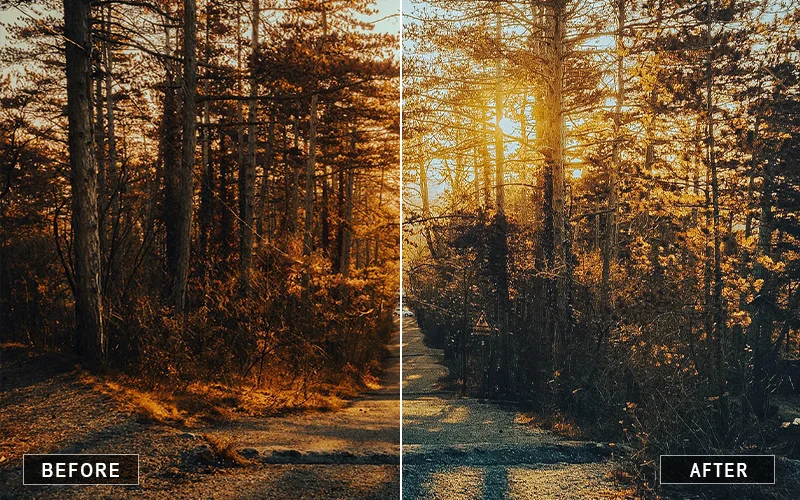 Forest Sunset preview image, golden tones Lightroom presets, pastel sunset presets, warm glow Lightroom presets