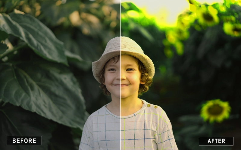 Gold Effect Photoshop Action