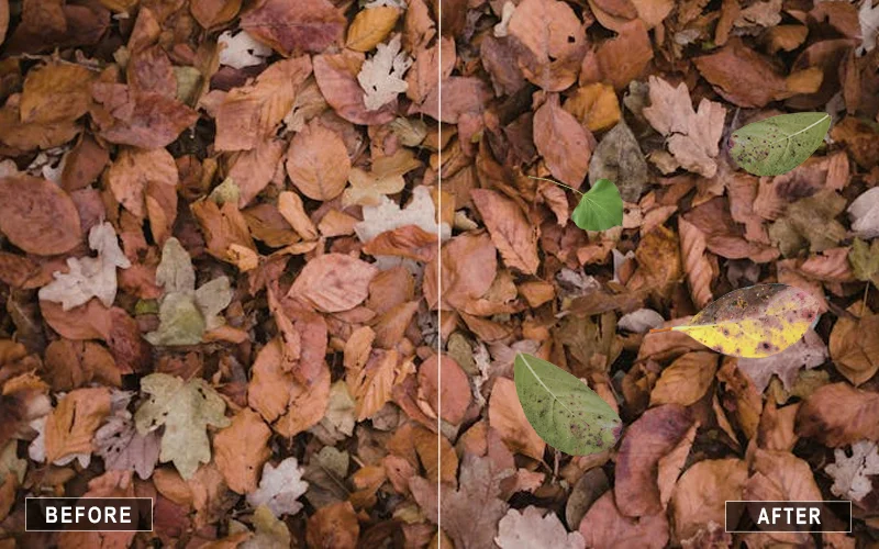 autumn leaves overlay, maple leaf overlays, green leaf overlays, oak leaf overlays, willow leaf overlays, ivy leaf overlays