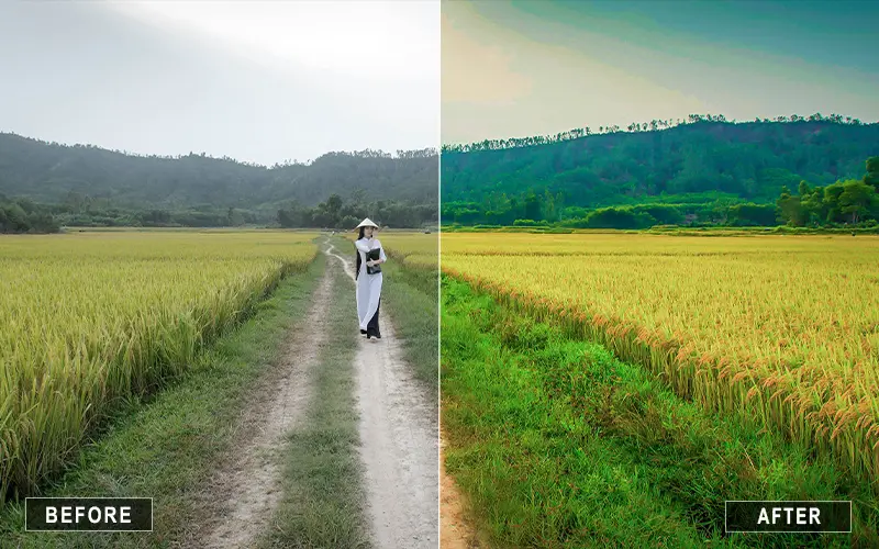 greenscape landscape lightroom presets