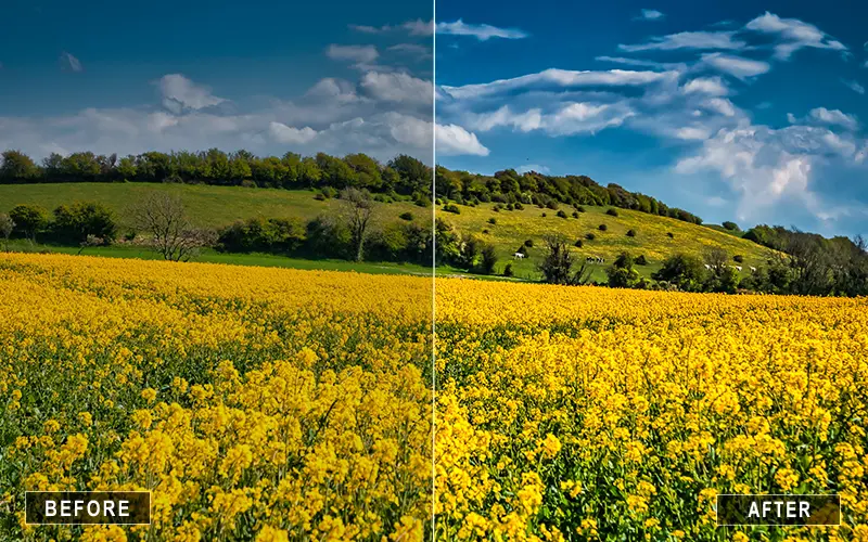 Terrain Landscape Camera Raw Presets, Panorama Landscape Camera Raw Presets, Green Landscape Camera Raw Presets, Hill Landscape Camera Raw Presets, Coastline Landscape Camera Raw Presets, Waterfall Landscape Camera Raw Presets, Dune Landscape Camera Raw Presets, Meadow Landscape Camera Raw Presets, Canyon Landscape Camera Raw Presets, Wild Landscape Camera Raw Presets