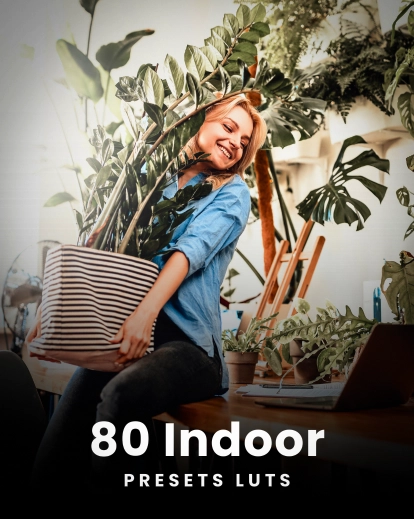 80 indoor presets LUTs featured image