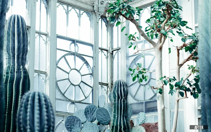 HRD indoor presets LUTS