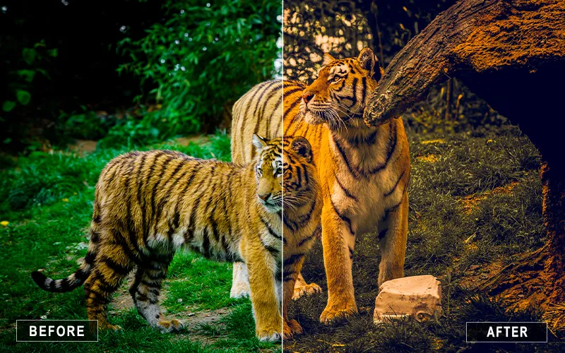 jungle animal presets, animal photo enhancements, camera raw pet filters