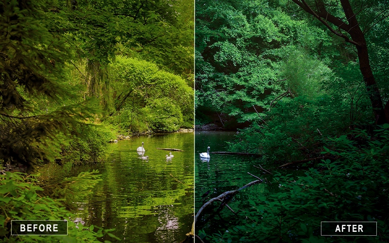 landscape camera raw film presets, 35mm film presets, realistic film presets
