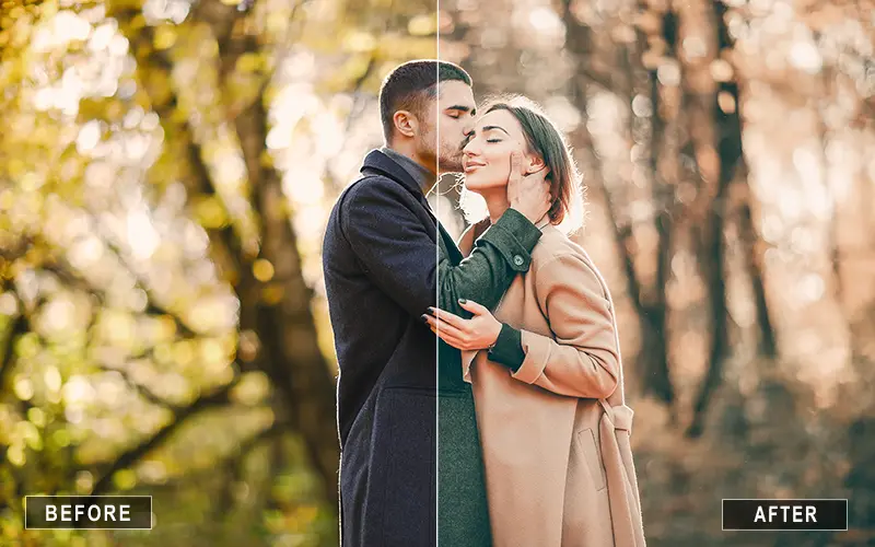 Luxe Presets For Portraits, Luxe Presets For Landscapes, Luxe Presets For Real Estate Photography, Luxe Presets For Newborn Photos, Luxe Presets For Indoor Photos, Luxe Wedding Presets, Luxe Presets For Couple Photos, Luxe Presets For Outdoor Photos, Luxe Fashion Presets, Glowy Luxe Presets, Matte Luxe Presets, Vibrant Luxe Presets