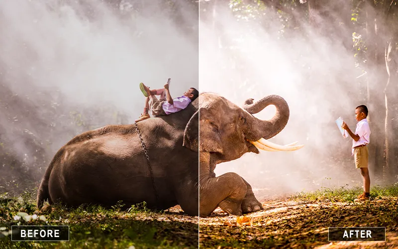 macro animal presets, animal skin tone presets, animal retouching presets