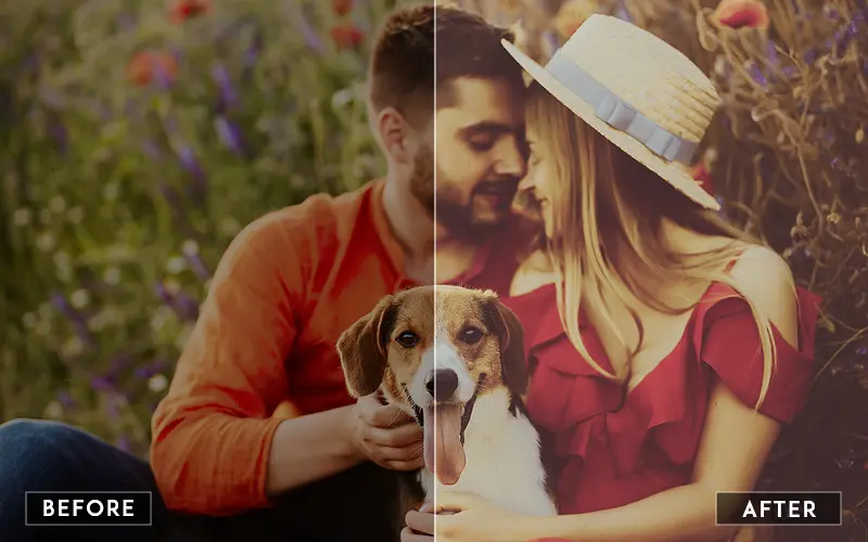 Matte Dream Presets