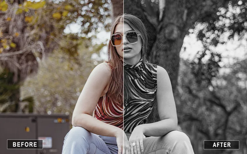 faded black and white luts, matte black and white luts