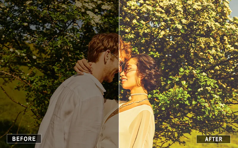 Matte Brown Lightroom Presets, Brown tone lightroom presets for lightroom