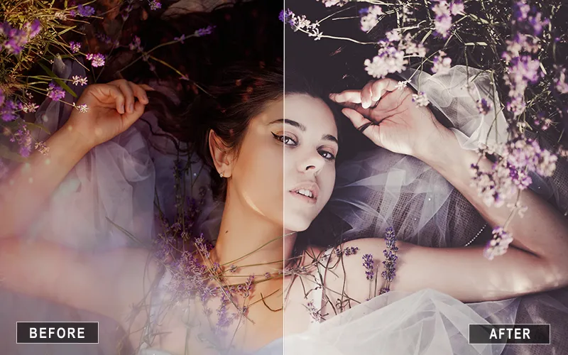 matte dream presets