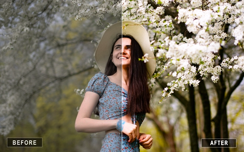 matte eiffel photoshop actions