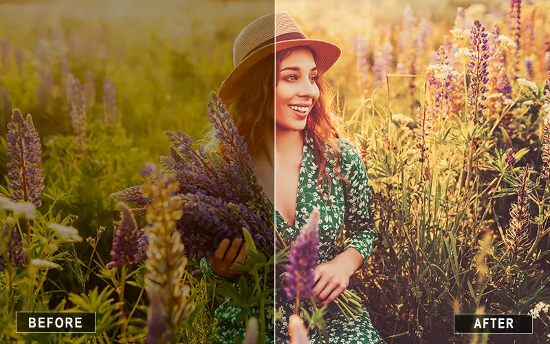 Matte Gold LR Presets, golden shade presets for lightroom, golden sunset presets