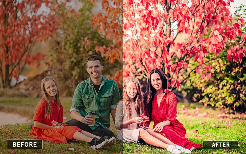 Matte Green Lightroom Presets