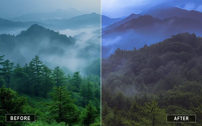 Misty Nature Preset Luts, nature LUTs