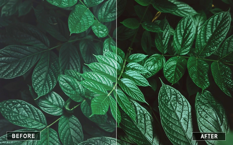 Moody green Tone Photoshop Actions