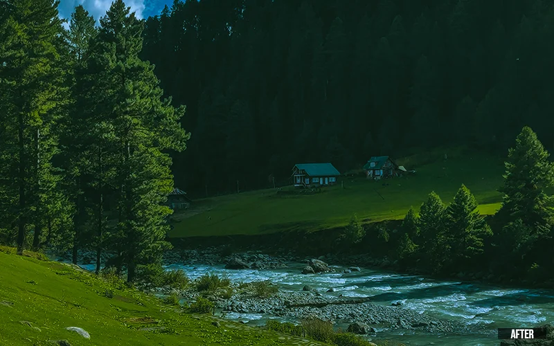 after: Mellow Nature Preset LUTs