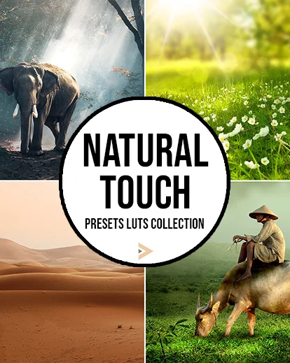 natural LUTs and presets one dollar deals