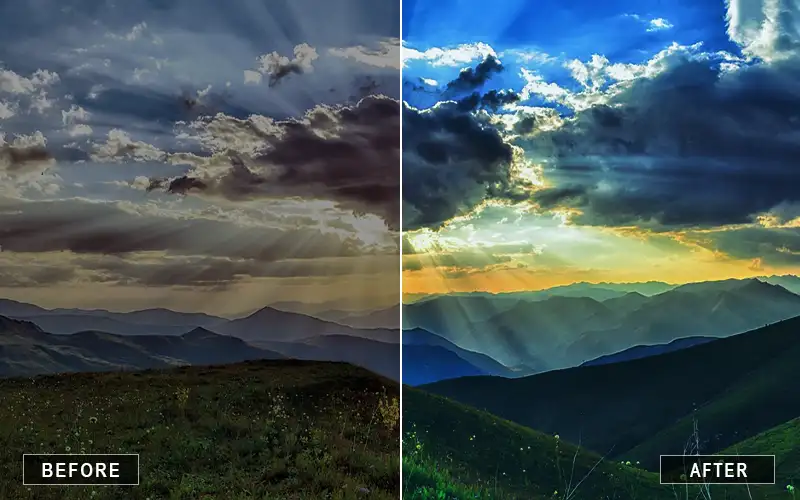Natural Forest Lightroom Presets