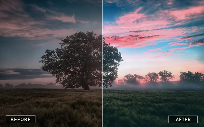 Natural Grassland Lightroom Presets