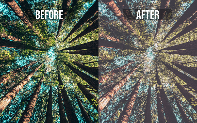 nature lightroom presets