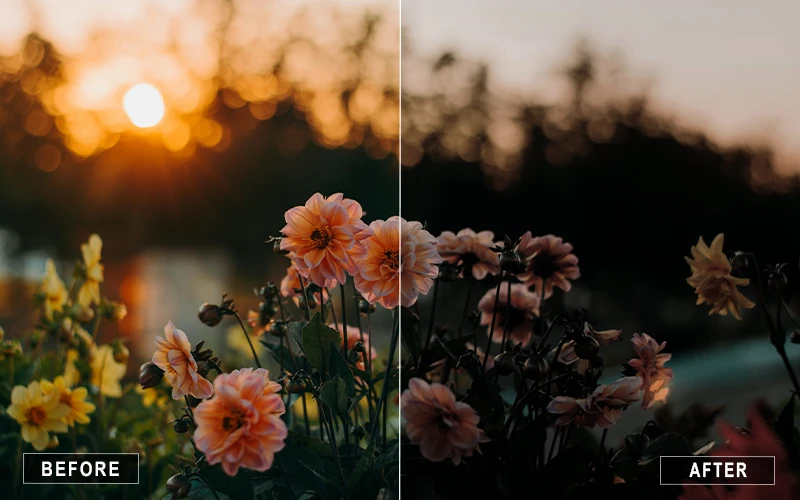 dark aesthetic photoshop actions, Nature dark photoshop actions, vintage dark photoshop actions, Instagram dark photoshop actions, dessert dark photoshop actions, dark moody presets for photoshop
