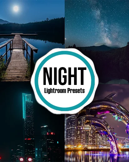 Night - 45 Lightroom Presets Banner one dollar deals